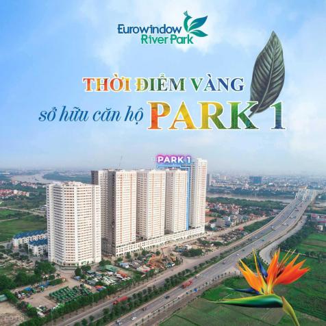 Tổng hợp những quỹ căn dự án Eurowindow River Park chính sách hấp dẫn 13817343