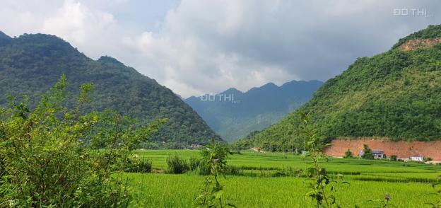 Bán đất tại Xã Mai Châu, Mai Châu, Hòa Bình diện tích 26000m2 gía đầu tư 13817906