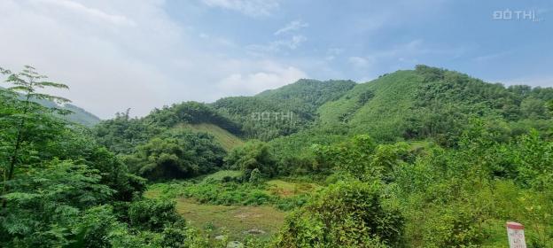 Bán 10ha đất rSX tại Kim Sơn, Kim Bôi. Có suối, có thác 13818132