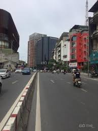 Bán 1000m2 đất, mặt phố Phạm Ngọc Thạch, Quận Đống Đa, giá 316 tr/m2 13819044