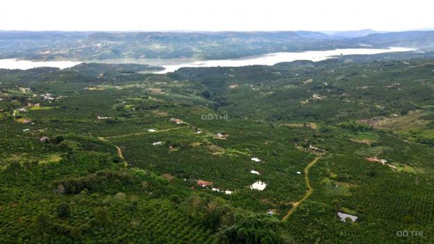 Bán trang trại, khu nghỉ dưỡng tại đường 28, Di Linh, Lâm Đồng diện tích 10000m2 giá 6.8 tỷ 13830653