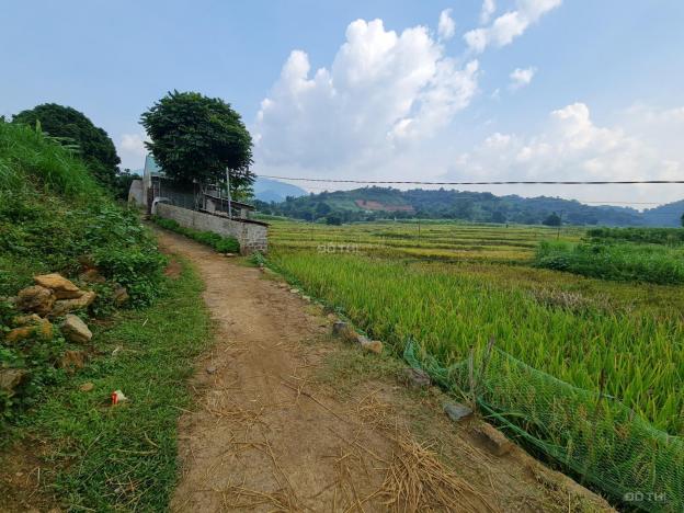 Cắt bán lô đất có 1000m2 ONT tại Cao Phong - Hòa Bình. Giá rẻ cho nhà đầu tư 13835397