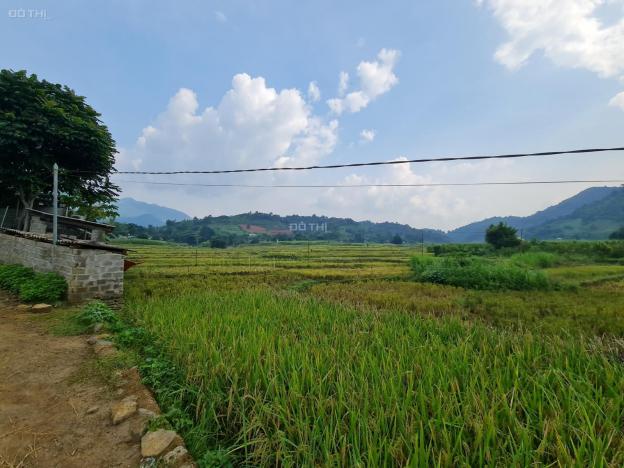 Cắt bán lô đất có 1000m2 ONT tại Cao Phong - Hòa Bình. Giá rẻ cho nhà đầu tư 13835397
