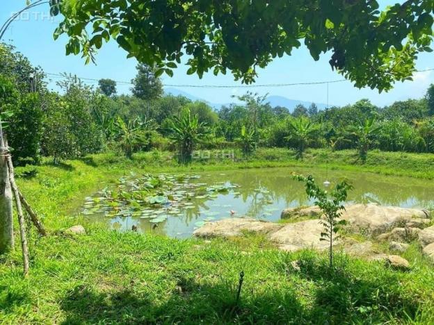 Bán đất vườn gần nút giao cao tốc Sài Gòn - Phan Thiết. 750tr/1000m2 13836000