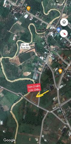 Bán đất nền dự án tại đường Đinh Công Tráng, Xã Lộc Châu, Bảo Lộc, Lâm Đồng DT 224m2 giá 1.4 tỷ 13837318
