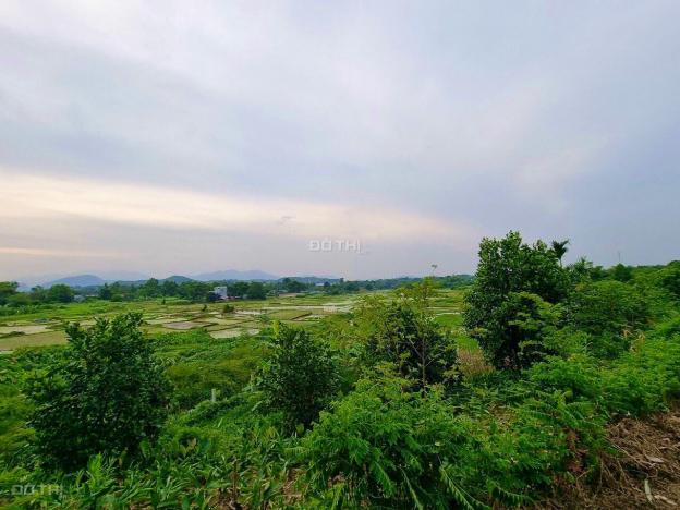 Bán đất Lương Sơn giá siêu rẻ view cánh đồng S=1290m2 13838810