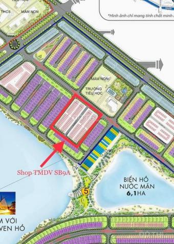 Chủ đầu tư mở bán shop Sao Biển 9A gía gốc ký trực tiếp CĐT Vinhomes Ocean Park. LH: 0911 781 333 13839662
