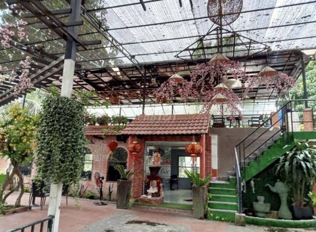 Sang gấp quán cafe sân vườn 1600m2 tại Nguyễn Thị Búp P Hiệp Thành Q12 13844236