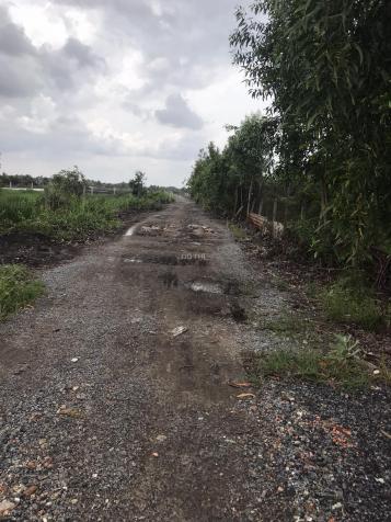 Bán công đất vườn 500m2 tại xã Vĩnh Lộc B - Bình Chánh giá chỉ 400 triệu 13844924