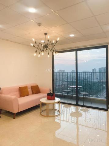 Soha Land công bố quỹ 200 căn hộ cho thuê CC D'Capitale - đảm bảo đẹp, rẻ, chất lượng, hỗ trợ 24/7 13850879