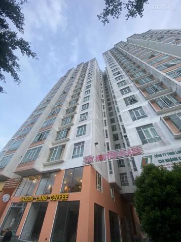 Cho thuê căn hộ chung cư tại dự án Tây Nguyên Plaza, Cái Răng, Cần Thơ diện tích 89m2 giá 4.5 tr/th 13859011