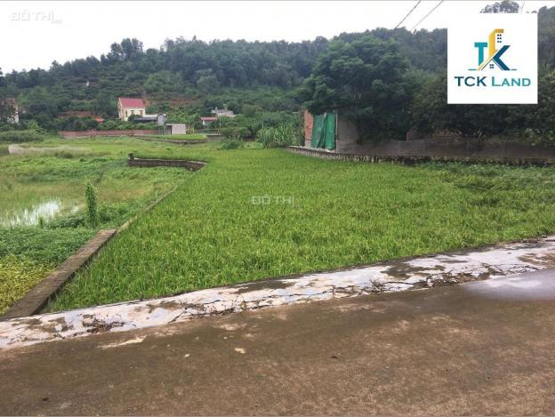 Đất nền diện tích 448m2 thổ cư 300m2 tại xã Lê Lợi, thành phố Chí Linh Hải Dương 13860988
