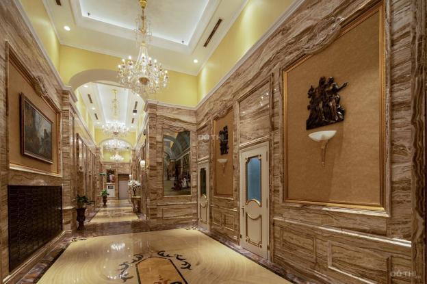 Bán căn hộ 229m2 vip nhất D'. Palais Louis Tân Hoàng Minh khẳng định vị thế đẳng cấp của gia chủ 13862205