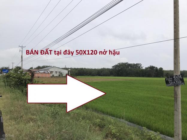 Kẹt tiền bán đất MT nhựa 45m - đất lúa - 6050m2 - 2,8 tỷ cho KH đầu tư - giảm mạnh 300tr 13862424