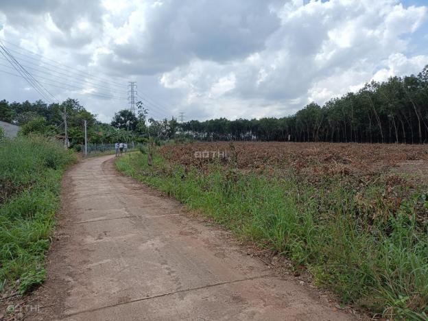 Bán đất gấp 1 lô đất Lộc Ninh - Bình Phước 13865132