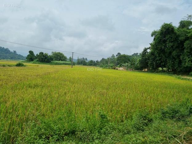 Chủ cắt bán 3200m2 có 200m2 thổ cư tại Tân Lạc, view cánh đồng, đất bằng phẳng, giá đầu tư 13868163