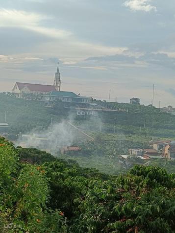 Bán đất tại Bảo Lộc, Lâm Đồng diện tích 1000m2 giá 250.000 nghìn/m2 13872768