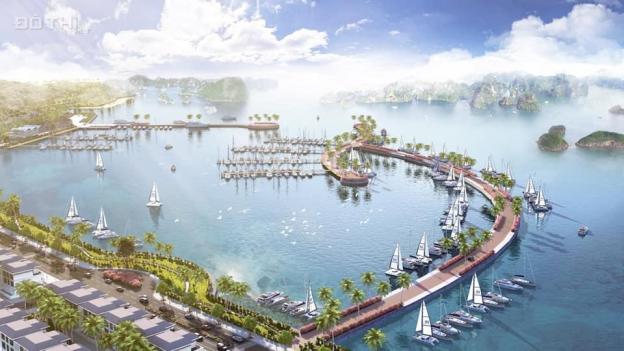 Ra bảng hàng mới đất nền mặt biển dự án TTP Cẩm Phả, Quảng Ninh 13873248