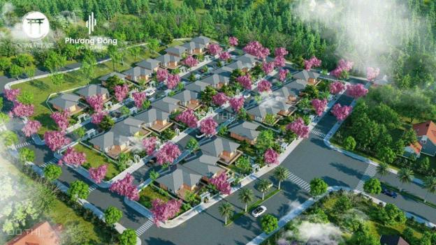 Bán đất nền dự án tại đường Quốc Lộ 20, Xã Đại Lào, Bảo Lộc, Lâm Đồng diện tích 260m2 giá 410 triệu 13874201