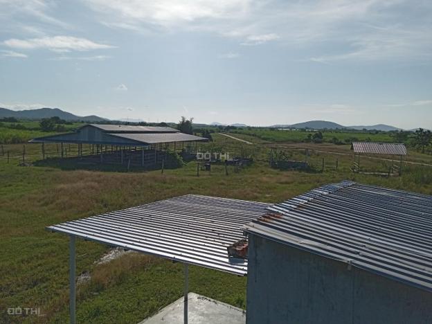 Cần bán trang trại 30.000m2 vùng đất tiềm năng cho ngành nông nghiệp tại Ninh Sơn, Ninh Thuận 13875511
