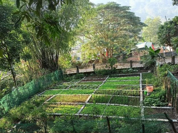 Bán đất vườn gần ngã 3 Hàm Đức, Bình Thuận. Sổ đỏ cầm tay, giá đầu tư: 750 nghìn/m2 13626676