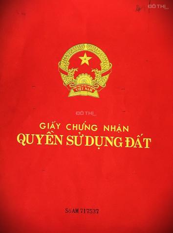 Bán gấp 50m2 đấu giá Đại Áng - Thanh Trì, giá rẻ. 0862.85.95.98 13885891