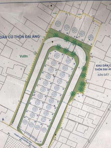 Bán gấp 50m2 đấu giá Đại Áng - Thanh Trì, giá rẻ. 0862.85.95.98 13885891