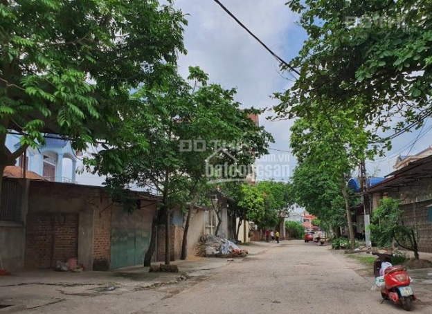 Chính chủ bán 752m2 đất tại Thắng Trí, Minh Trí, Sóc Sơn 13888475