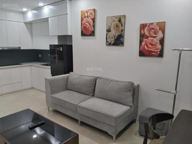 Cho thuê căn hộ tại Vinhomes - Trần Duy Hưng, D'Capital căn hộ 1pn - 3pn giá chỉ từ 8tr/tháng 13890843