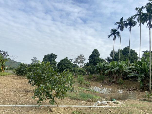 Lô đất sẵn vườn ao giá rẻ tại Lương Sơn - Hòa Bình 13894993