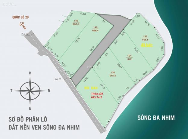 Bán đất nền dự án tại đường 20, Xã Phú Hội, Đức Trọng, Lâm Đồng diện tích 540m2 giá 4,2 triệu/m2 13895811