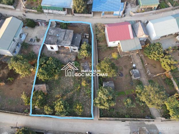 Bán đất tặng nhà riêng 657m2 tại thị trấn Nông Trường Mộc Châu 13904559