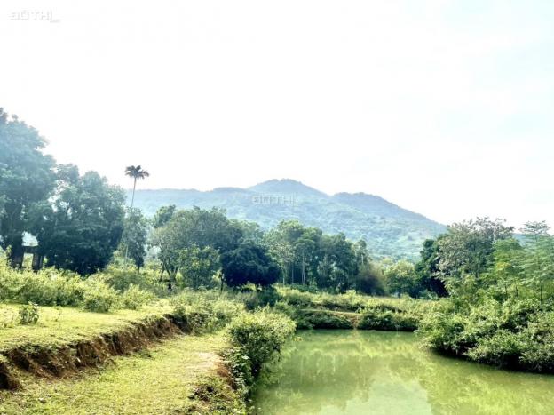 Bán gấp 8334m2 đất đẹp view thoáng tại Cư Yên, Lương Sơn 13905722
