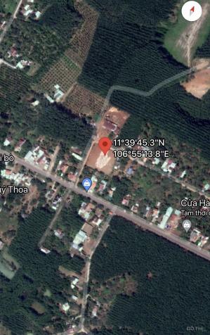 Bán đất sổ sẵn ngay trung tâm huyện Phú Riềng có sẵn 100m2 TC 13906443