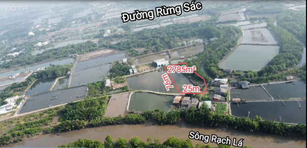 (cần ra gấp) đất Cần Giờ, Xã Bình Khánh, 2785m2 chỉ 2,12 tr/m2. Cách đường Rừng Sác chỉ 250m 13910824