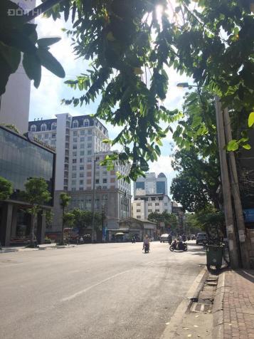 Hiếm bán nhà mặt phố Cát Linh 7 tầng MT 6m vỉa hè kinh doanh sầm uất 70 tr/th 17 tỷ 8 13919007