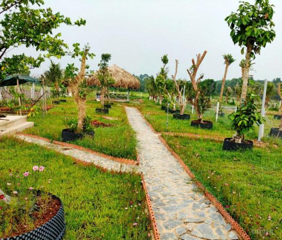 Bán đất và nhà vườn có sẵn - giá tốt, đường ô tô, SHR tại Củ Chi 13922610