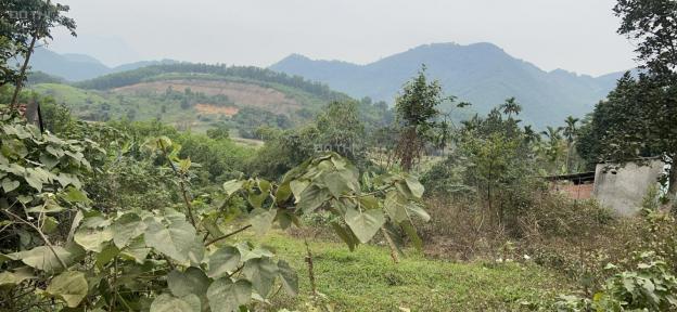 Đất nghỉ dưỡng sẵn sổ hồng, view núi đồi, trong đất có dòng suối cò chảy qua tại Yên Trung 13925310