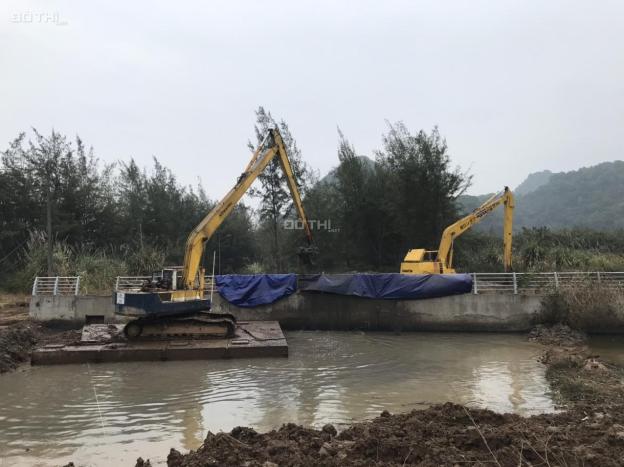 Bán căn biệt thự song lập cát bà Amatina Vinaconex, hải phòng, DT 160m (8x20) bàn giao quý 1/22 13937462