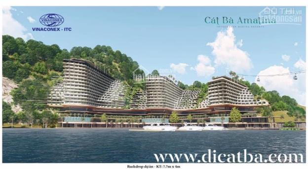 Bán căn biệt thự song lập cát bà Amatina Vinaconex, hải phòng, DT 160m (8x20) bàn giao quý 1/22 13937462