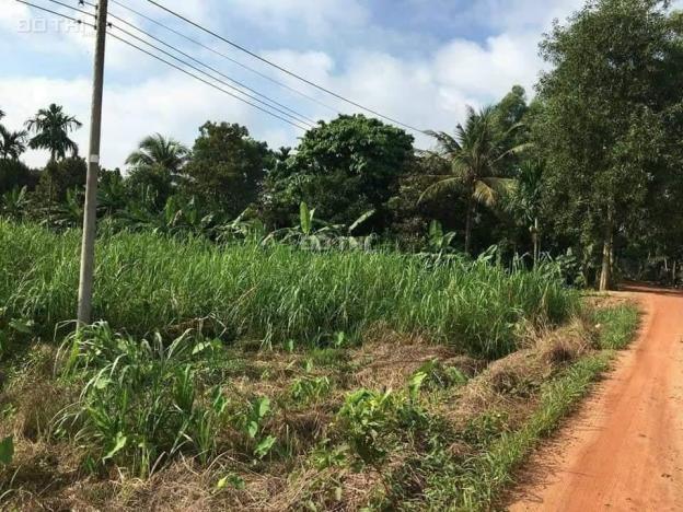 Đất - view Sông Sài Gòn - Thủ Dầu Một - Bình Dương 13941625