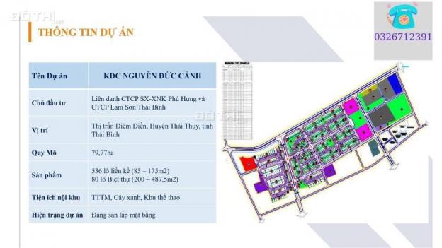 Khu đô thị đáng sống và đầu tư tại TT Diêm Điền Thái Thuỵ Thái Bình 13942293