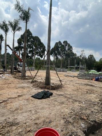 Bán đất ĐT 748 An Lập - Dầu Tiếng - Bình Dương 13943012