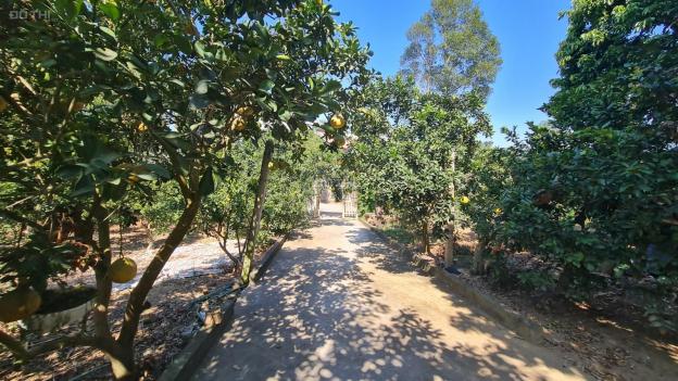 Bán 2155m2 đất tặng nhà 2 tầng + vườn cây ăn quả tại thị trấn Chũ Bắc Giang hợp đầu tư xây biệt thự 13943751