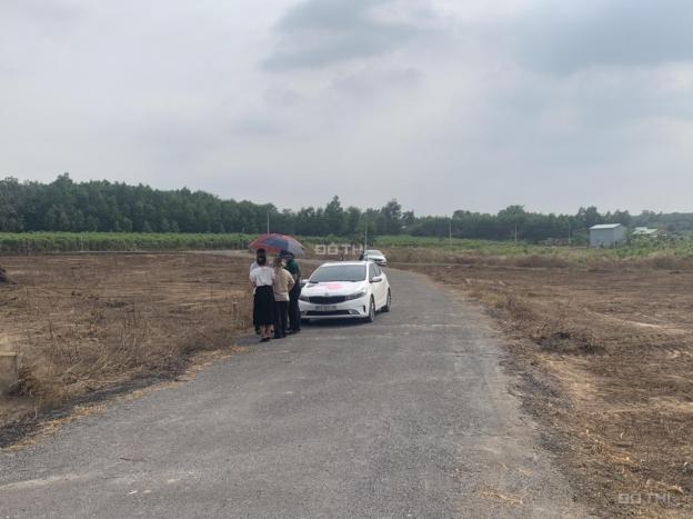 Bán đất sào đầu tư sân bay ngay trung tâm xã Phước Bình - Long Thành 13954395