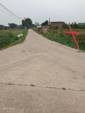 Chính chủ tôi bán gấp lô đất 160m2 tại Tân Trung Ngọc Châu, Tân Yên Bắc Giang 13954634