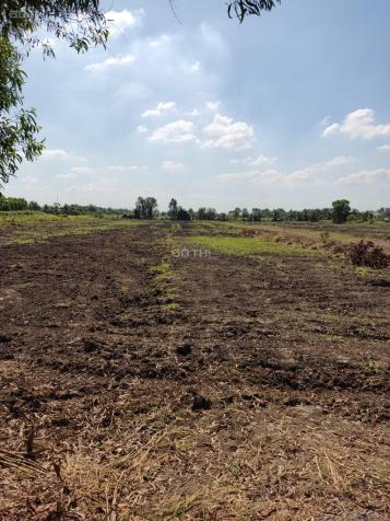 Bán đất 28000m2 mặt tiền Võ Văn Bích Củ Chi có 8000m2 thổ cư quy hoạch khu dân cư 13958933