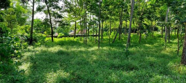 Bán đất tại Xã Xuân Sơn, Sơn Tây, Hà Nội diện tích 2270m2 giá 2.2 triệu/m2 13964602