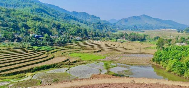 Bán đất Kim Bôi, Hòa Bình Bám Hồ, cạnh khu đô thị nghỉ dưỡng sinh thái của tập đoàn Sun Group 13993530