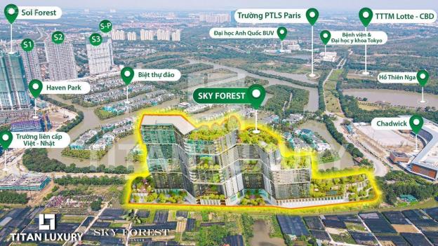 Sky Forest Ecopark vẽ thiên nhiên lên bầu trời 13993712